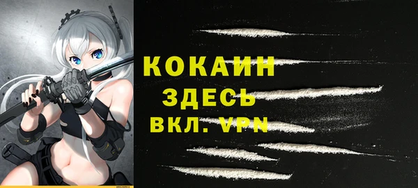 спиды Вяземский