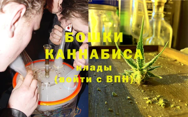 спиды Вяземский