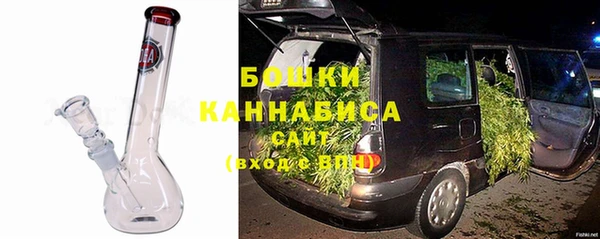 спиды Вяземский